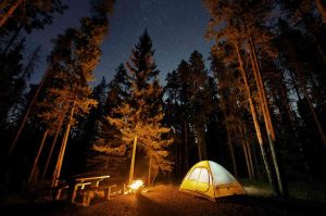 Vive el campamento Vecinos Inesperados en CCA Yautlica: una noche con la naturaleza
