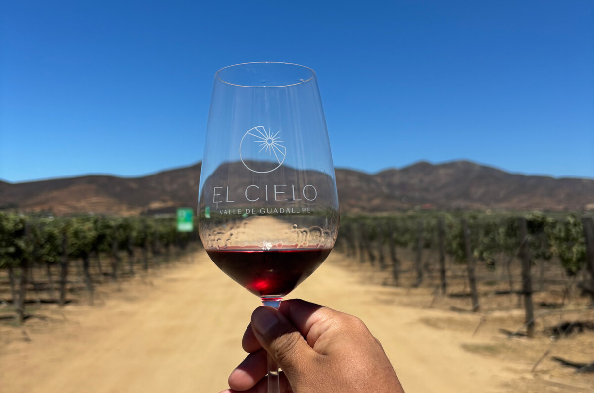 Dónde Ir en Ensenada: Valle de Guadalupe, su ruta del vino, restaurantes y más