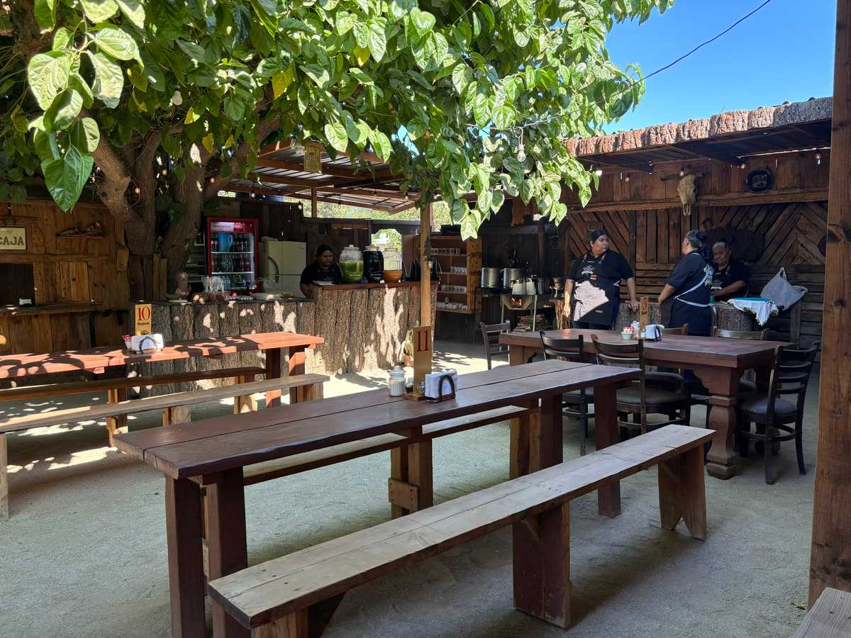 Ensenada, Dónde Ir: Valle de Guadalupe