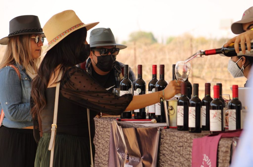 Cata, música y más: Todo lo que debes saber del Festival 100 Vinos Mexicanos en Querétaro 0