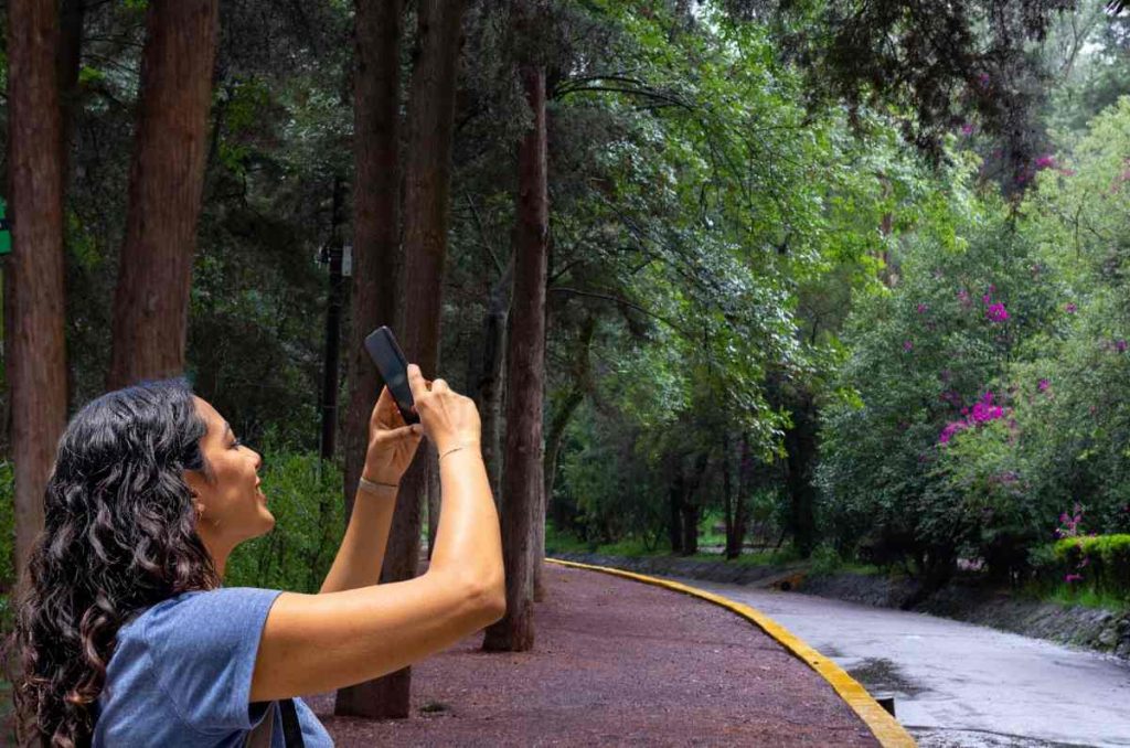 Fotocaminata Chilanga: un recorrido eco-cultural por el Bosque de Tlalpan