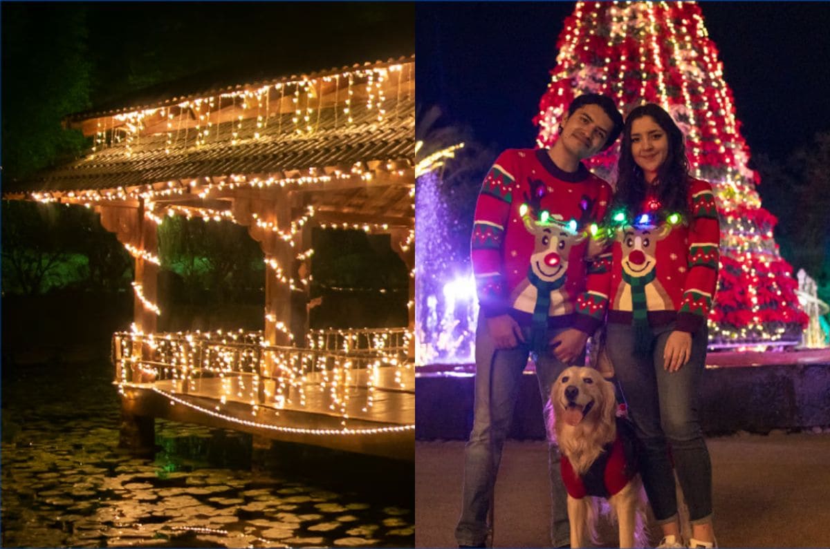 La Navidad llega a los Jardines de México ¡Con recorridos especiales!