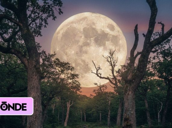 ¡Luna Fría cerrará el 2025!: La última y más grande Superluna del año 