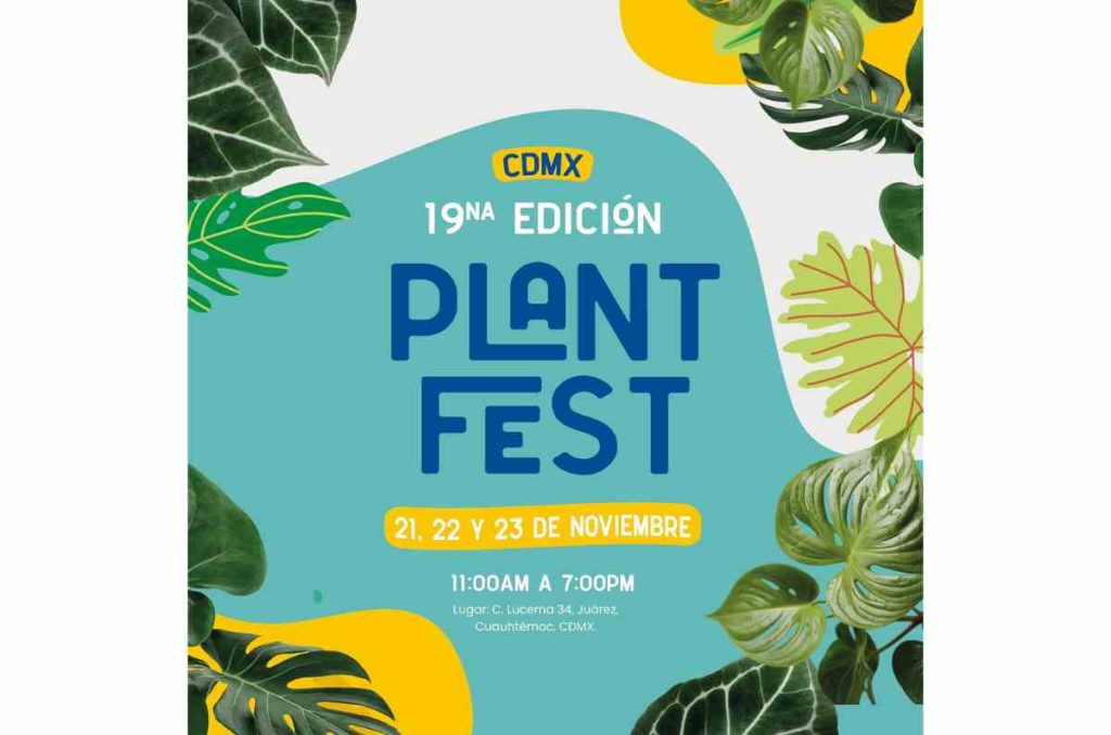 Plant Fest CDMX 2025: plantas desde $25 y más de 70 expositores verdes