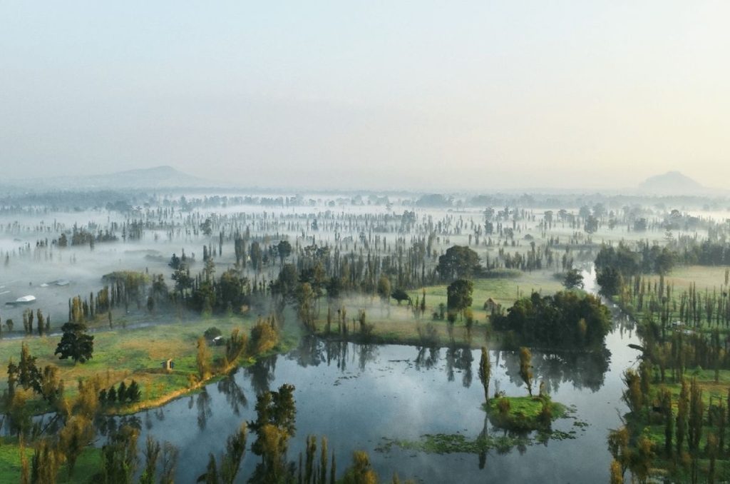 Territorios: la exposición de Santiago Arau en Sofitel