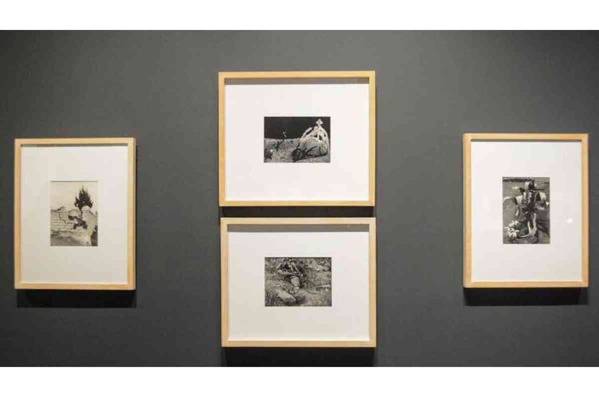 registro-de-oscuridades-3