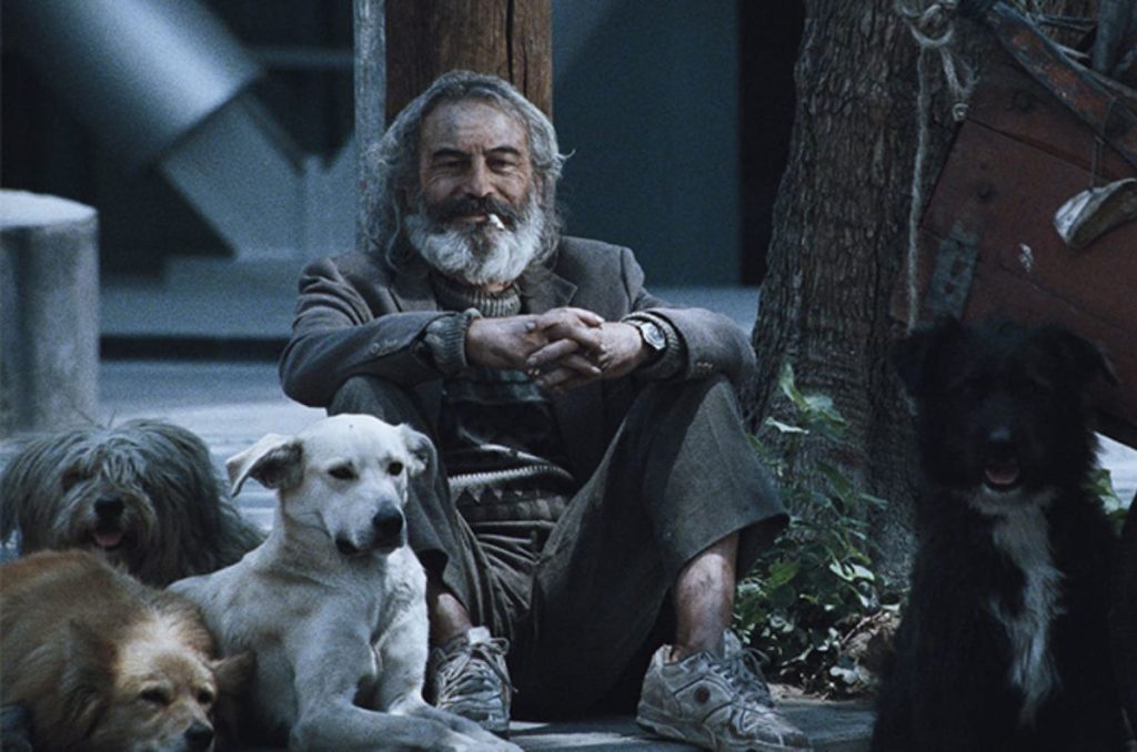 Fragmentos Olvidados: Sueño Perro, la Muestra Inmersiva de Iñárritu en CDMX 1