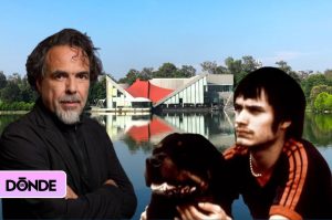 Fragmentos Olvidados: Sueño Perro, la Muestra Inmersiva de Iñárritu en CDMX