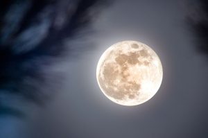 Luna del Castor: ¿Cuándo y a qué hora se podrá ver en México? 
