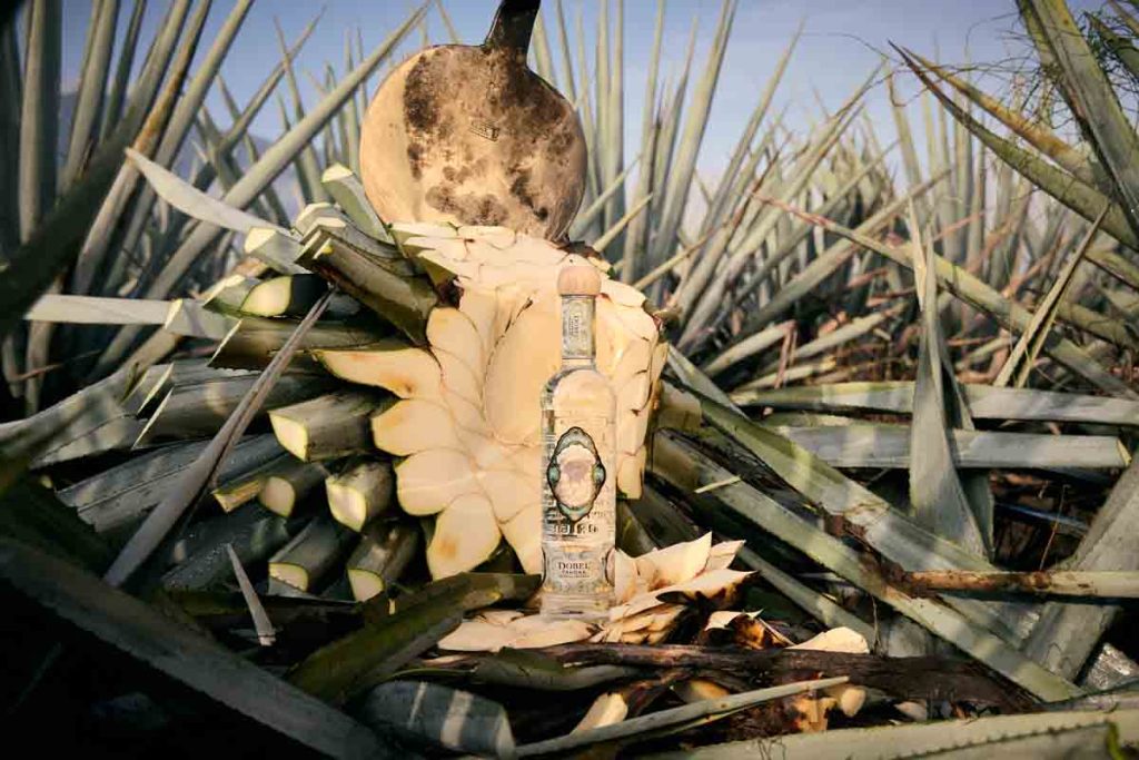 Tequila Maestro Dobel presenta su nuevo blanco orgánico, Dobel Tahona. Elaborado con agave certificado y la ancestral rueda de piedra volcánica