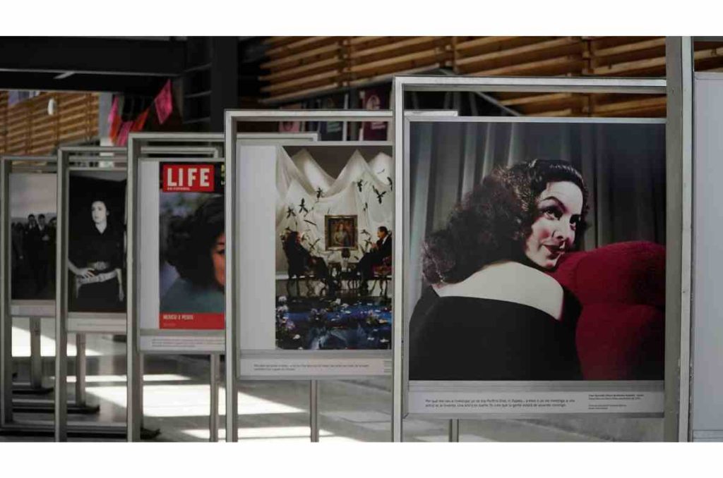 Una diosa para una diosa: la exposición de María Félix llega a la Cineteca Chapultepec 1