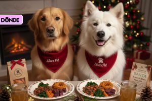 Cenas navideñas para perros: así puedes celebrar Navidad y Año Nuevo con tu lomito