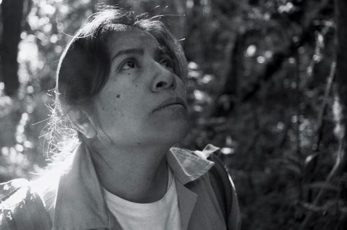 Cines para ver “La Reserva”, la película mexicana del momento