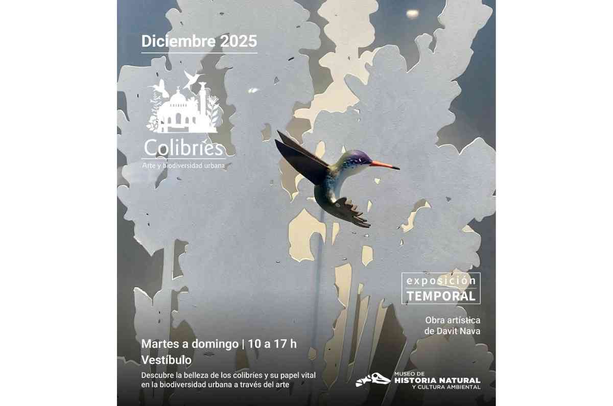 colibries-arte-y-biodiversidad-urbana-3
