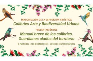 Colibríes, arte y biodiversidad urbana: la nueva expo que llega al Museo de Historia Natural