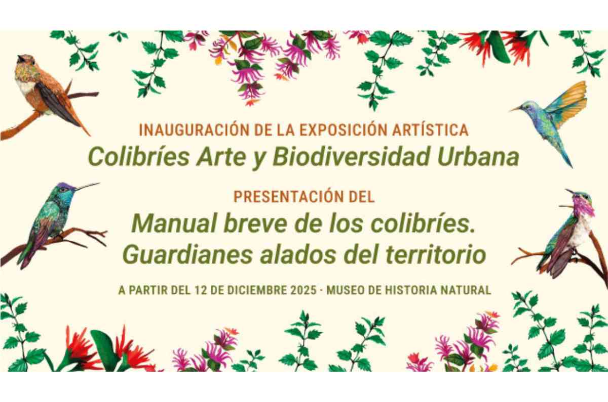 Colibríes, arte y biodiversidad urbana: la nueva expo que llega al Museo de Historia Natural