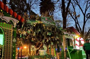 Vive Momentos con tu perro esta temporada navideña en parques de CDMX