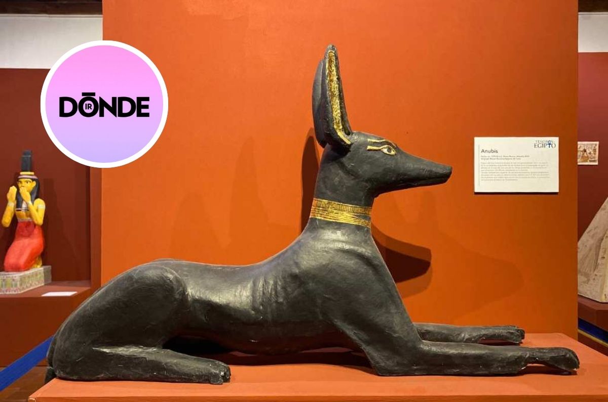 Egipto llega a Tlalpan: Una exposición gratuita para viajar en el tiempo 