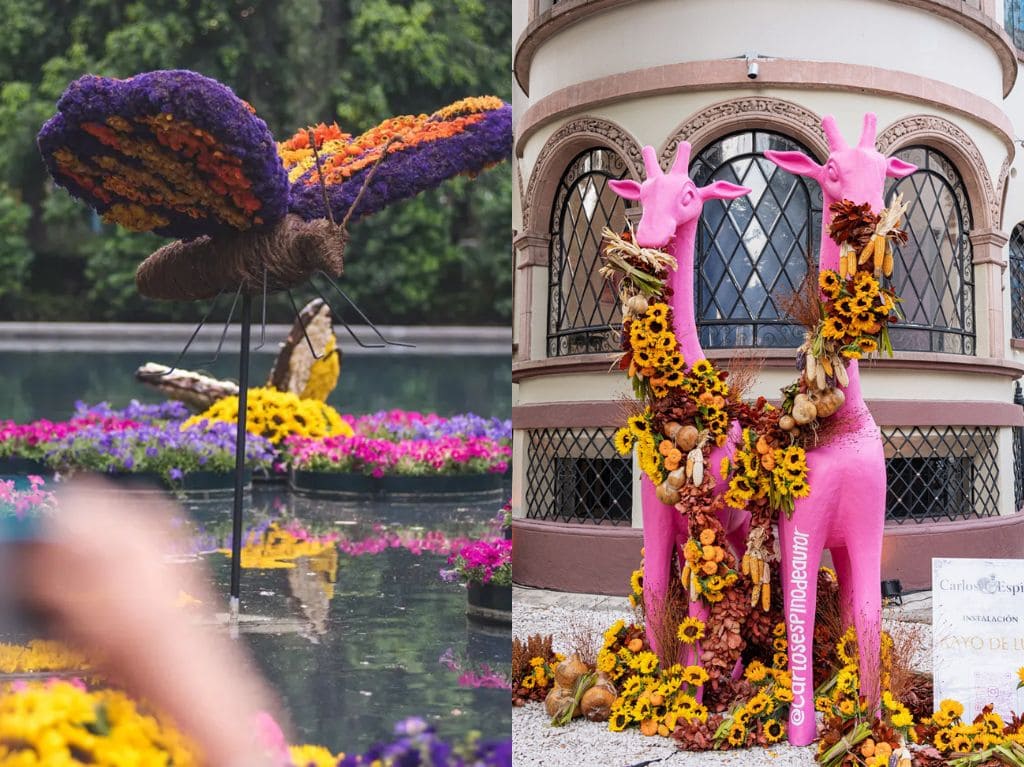 ¿Cuándo será el Festival Polanco en Flores 2026?