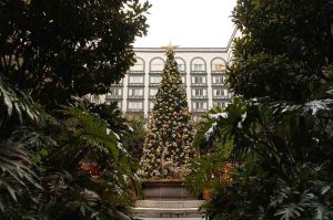 Four Seasons Mexico celebra Navidad y Año Nuevo en Zanaya y Fifty Mils