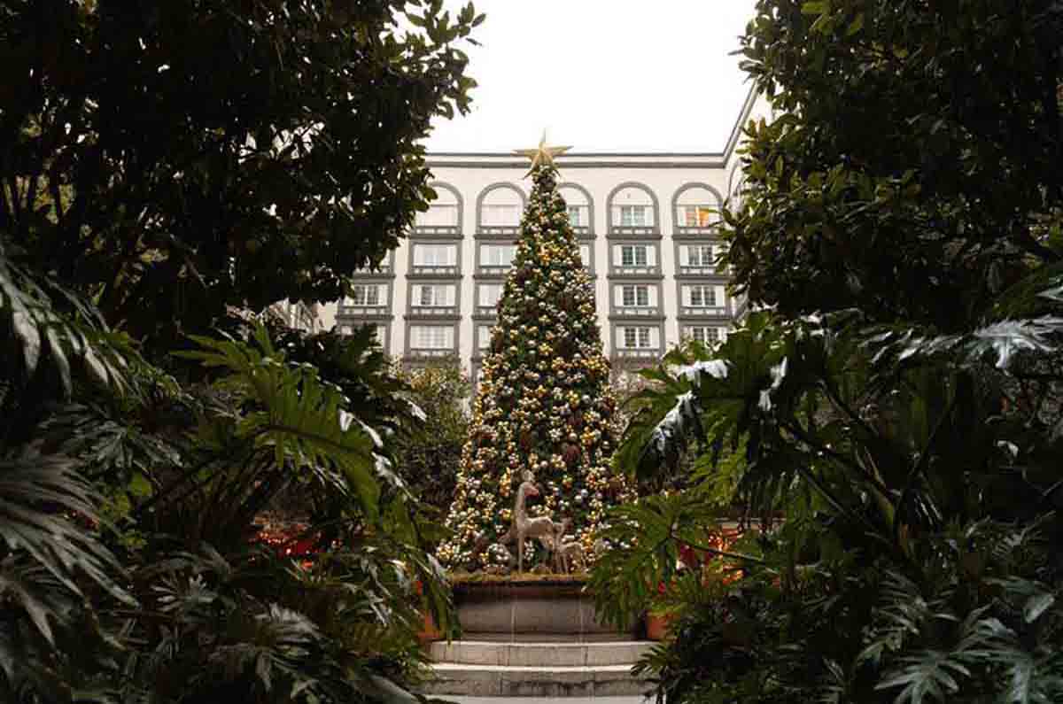 Four Seasons Mexico celebra Navidad y Año Nuevo en Zanaya y Fifty Mils