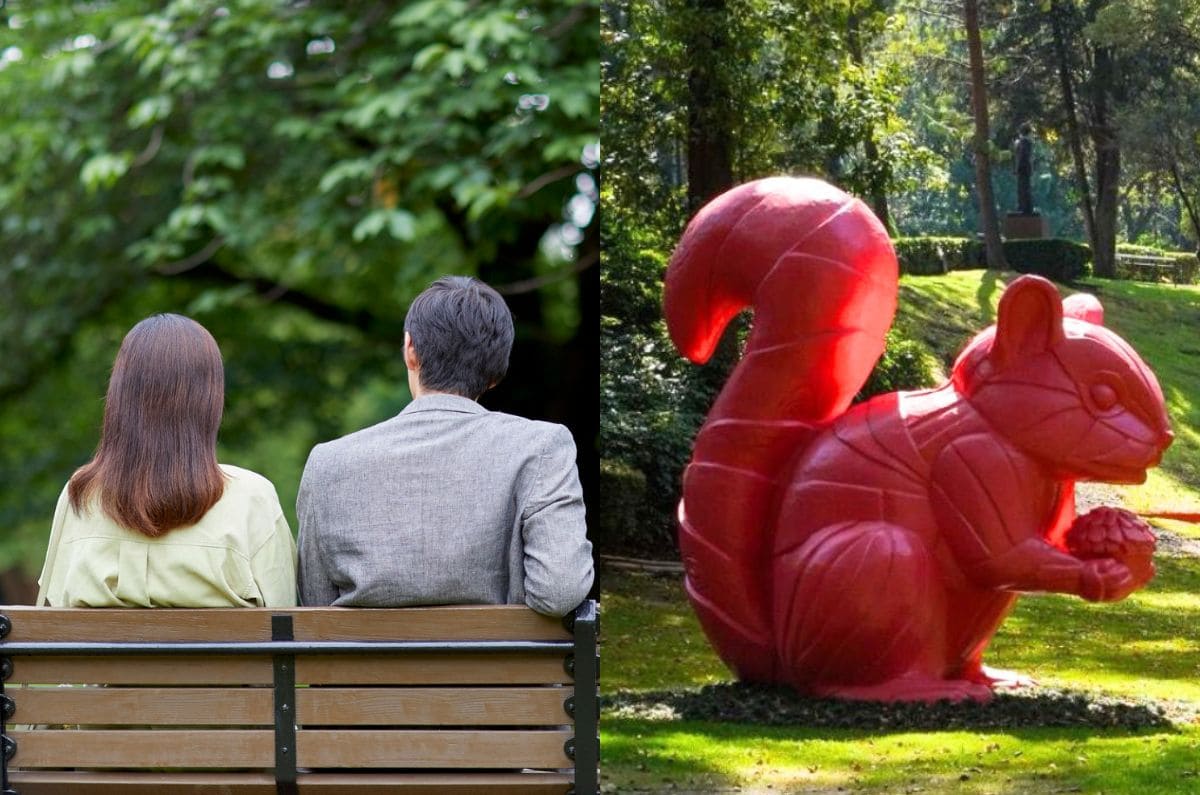 Jardín Hondonada: arte y naturaleza se fusionan en CDMX 