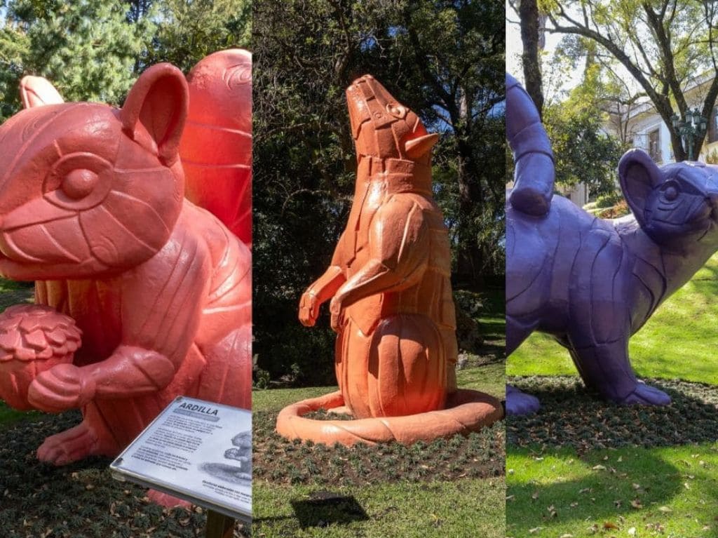 Jardín Hondonada (CDMX, 2025)