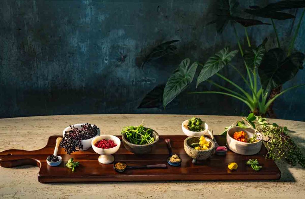 Kimpton anticipa el auge del carbón Binchotan, aperitivos sofisticados para la noche y el regreso de los vinos Burdeos en sus cartas.