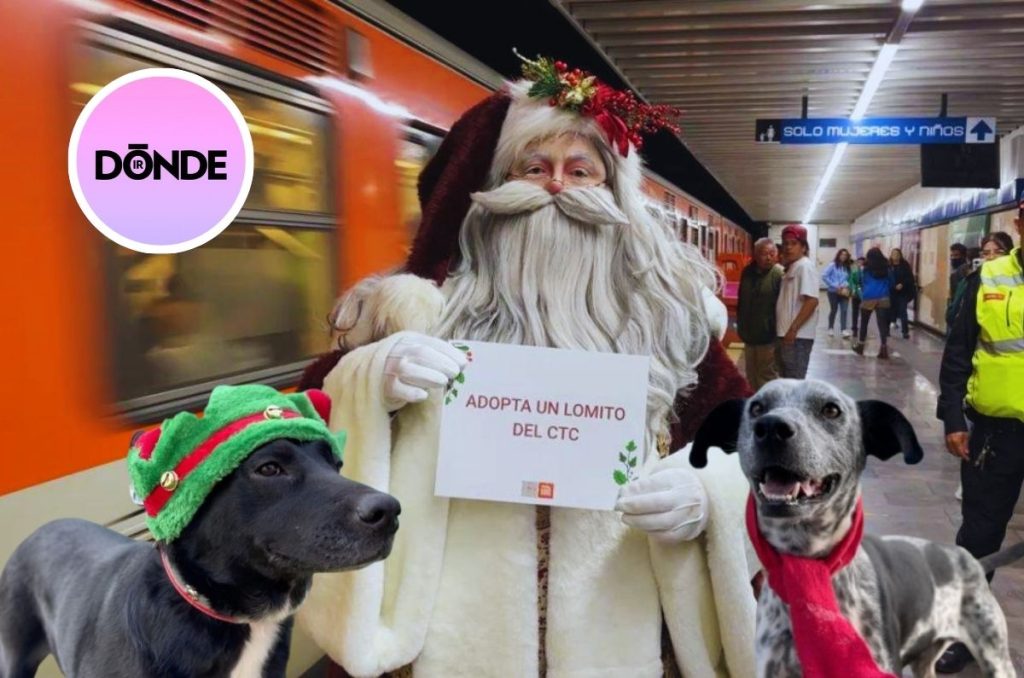 Manda tu carta a Santa y Los Reyes con los perros del Centro de Transferencia Canina del Metro