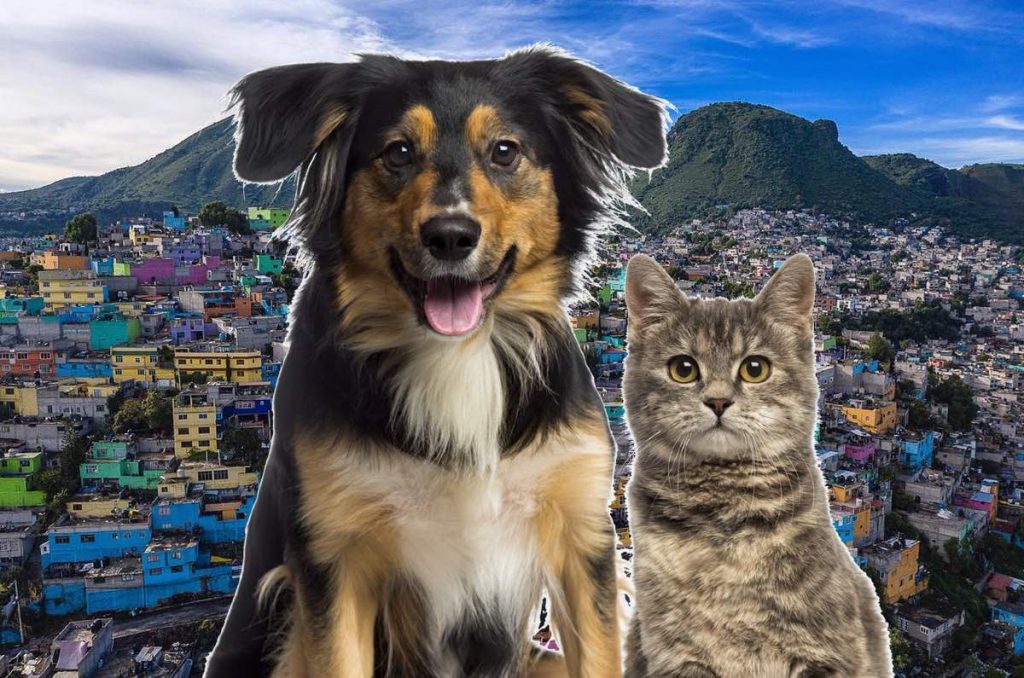 Mascotas Feria de Adopción 2025 CDMX Plaza Central Iztapalapa versión navideña