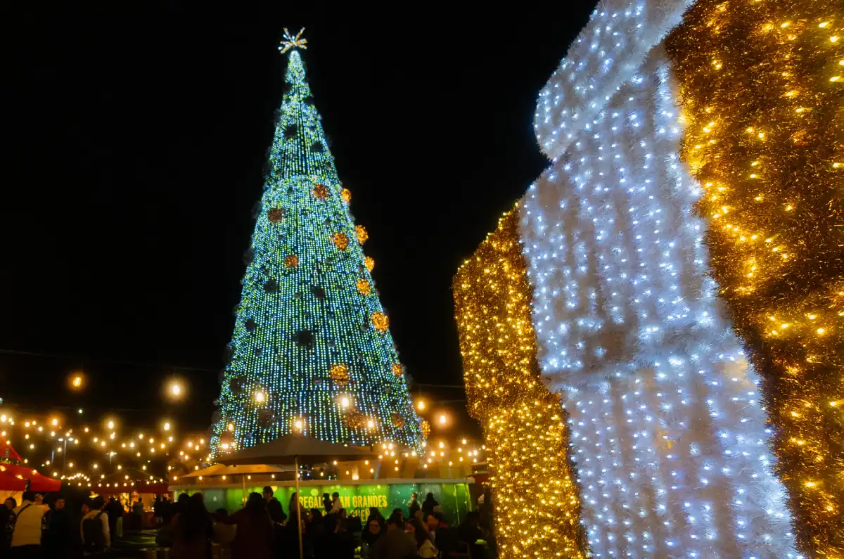 mercado-palacio-navidad-toma