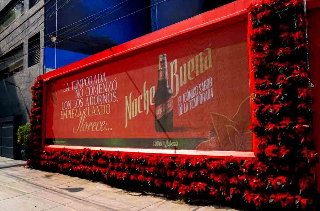 Nochebuena florece en la Condesa con un mural flores