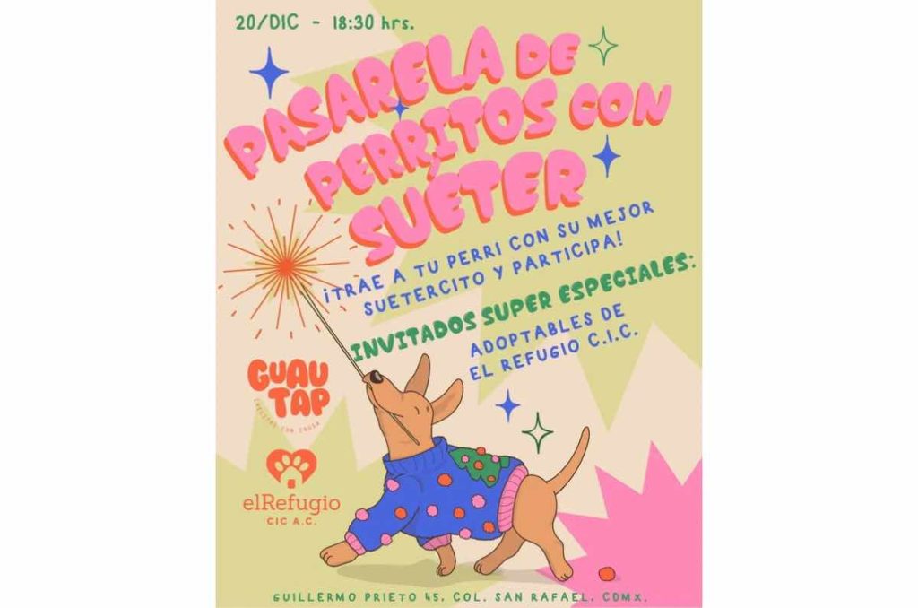 Pasarela de perritos en Guau Tap: trae a tu lomito con su mejor suéter 1