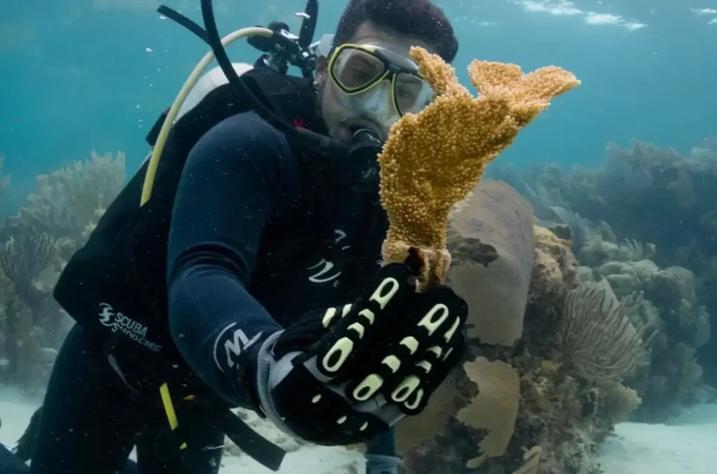 SíMiPlaneta: el proyecto ecológico del Dr. Simi