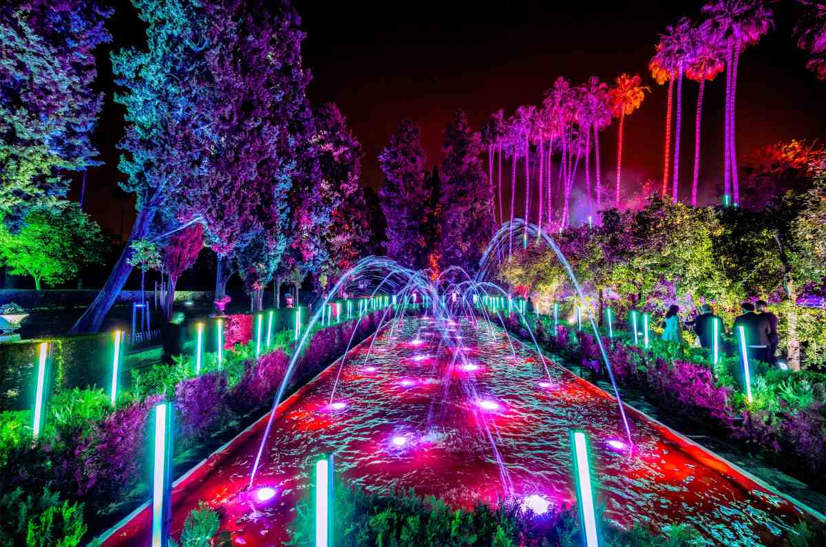 alicia-en-el-pais-de-las-maravillas-3