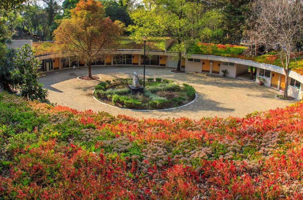 Bosque de Chapultepec concierto piano y flauta gratis CDMX