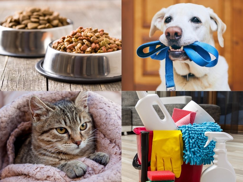 Para seguir creando conciencia sobre los animalitos en situación de calle, llega esta campaña de esterilización a CDMX ¡Así puedes apoyar!
