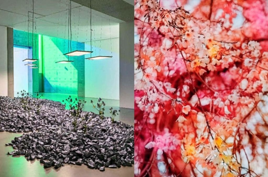 Checa las exposiciones GRATIS que llegan a LagoAlgo este 2026 