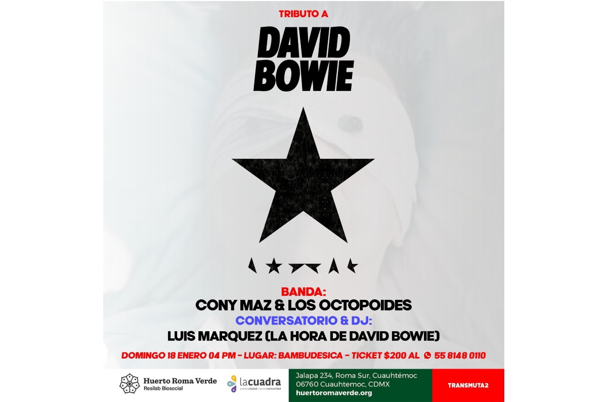 david-bowie-muerte-10-aniversario-conciertos-y-fiestas-cdmx-huerto-roma-verde