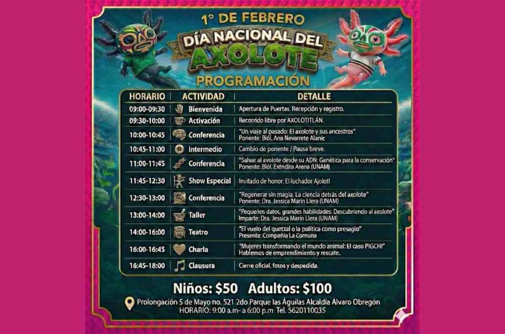 La 6ª edición del Día Nacional del Axolote se celebra con fiesta en Axolotitlán
