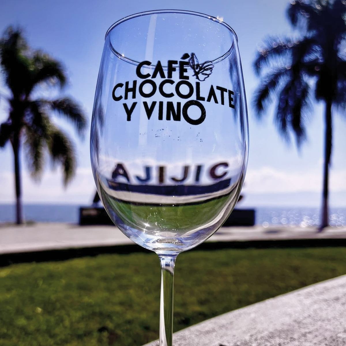 festival-cafe-chocolate-vino-ajijic-2026-