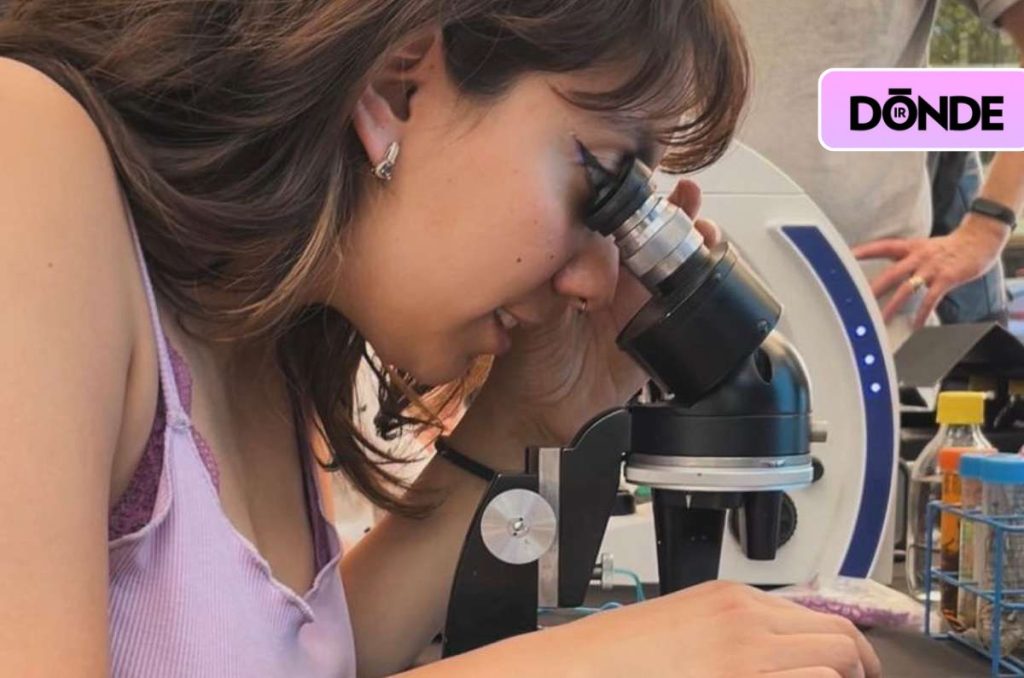 ¡Coyoacán se convierte en base espacial!: Galáctico Bazar 2026