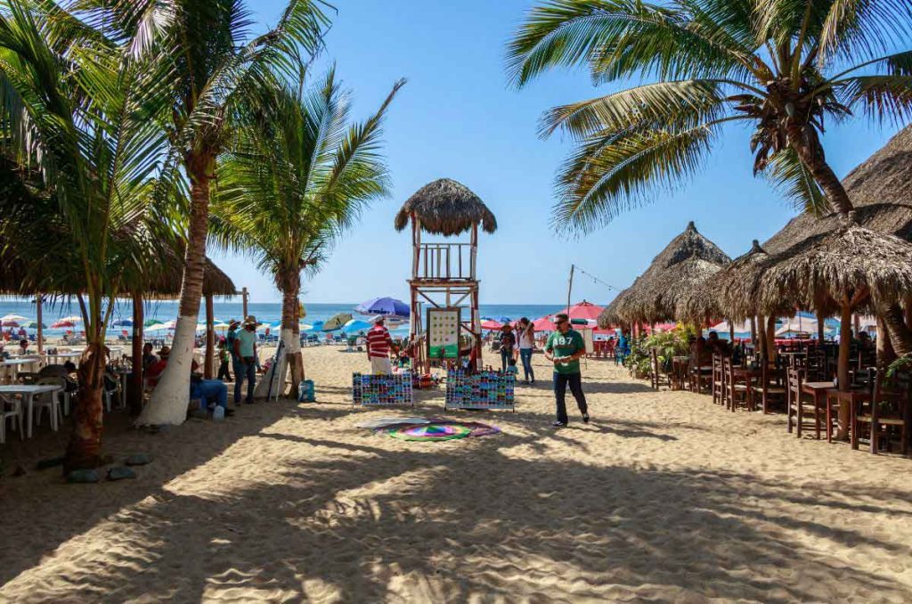 Explora desde resorts de lujo hasta hostales en la playa donde tu perro es el invitado de honor con menús especiales y acceso al mar.