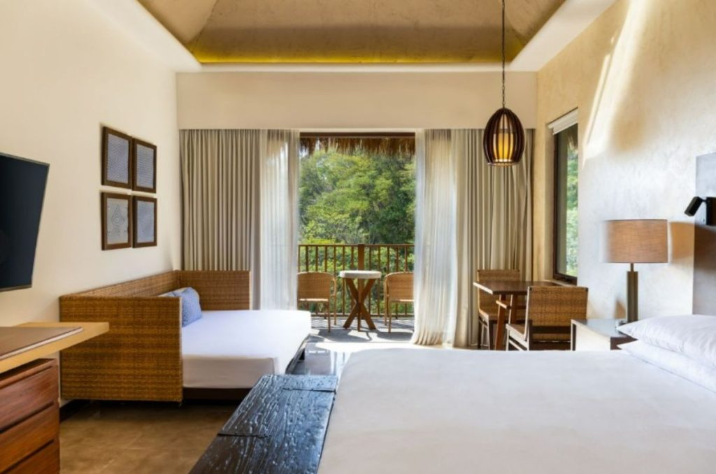 Explora desde resorts de lujo hasta hostales en la playa donde tu perro es el invitado de honor con menús especiales y acceso al mar.