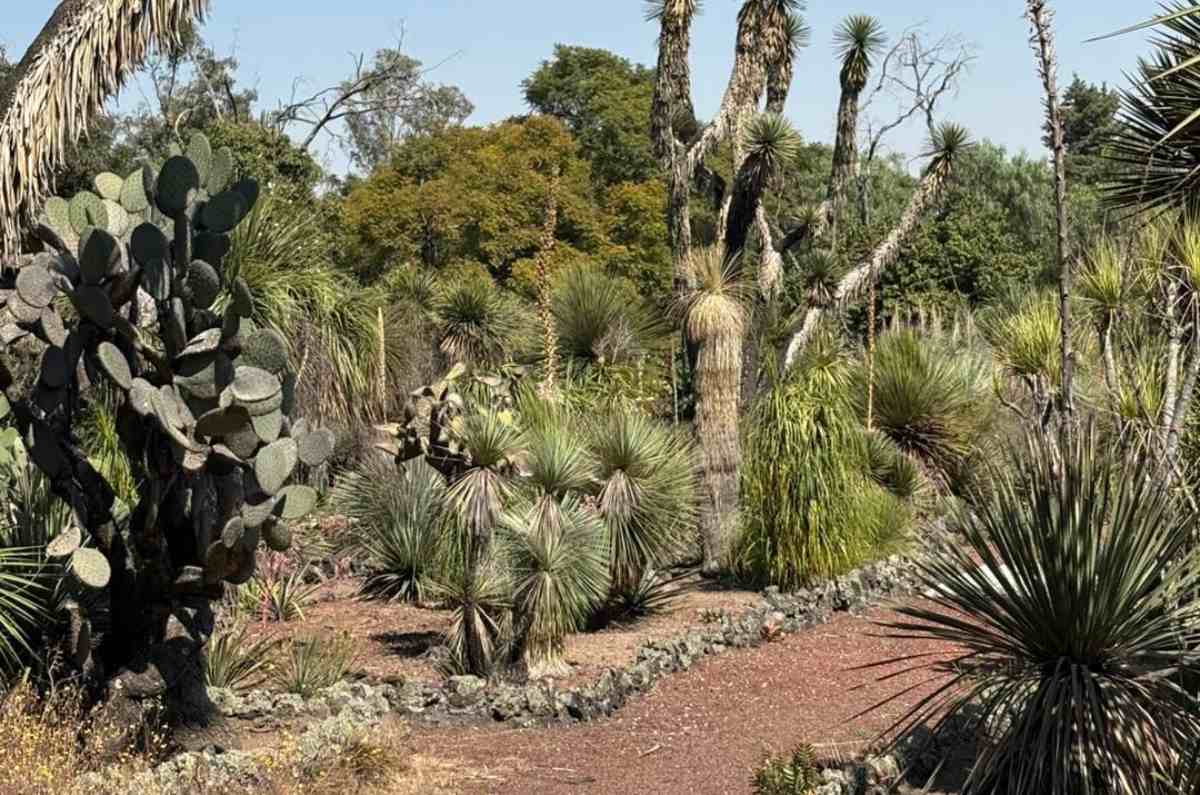 los-olores-del-amor-1