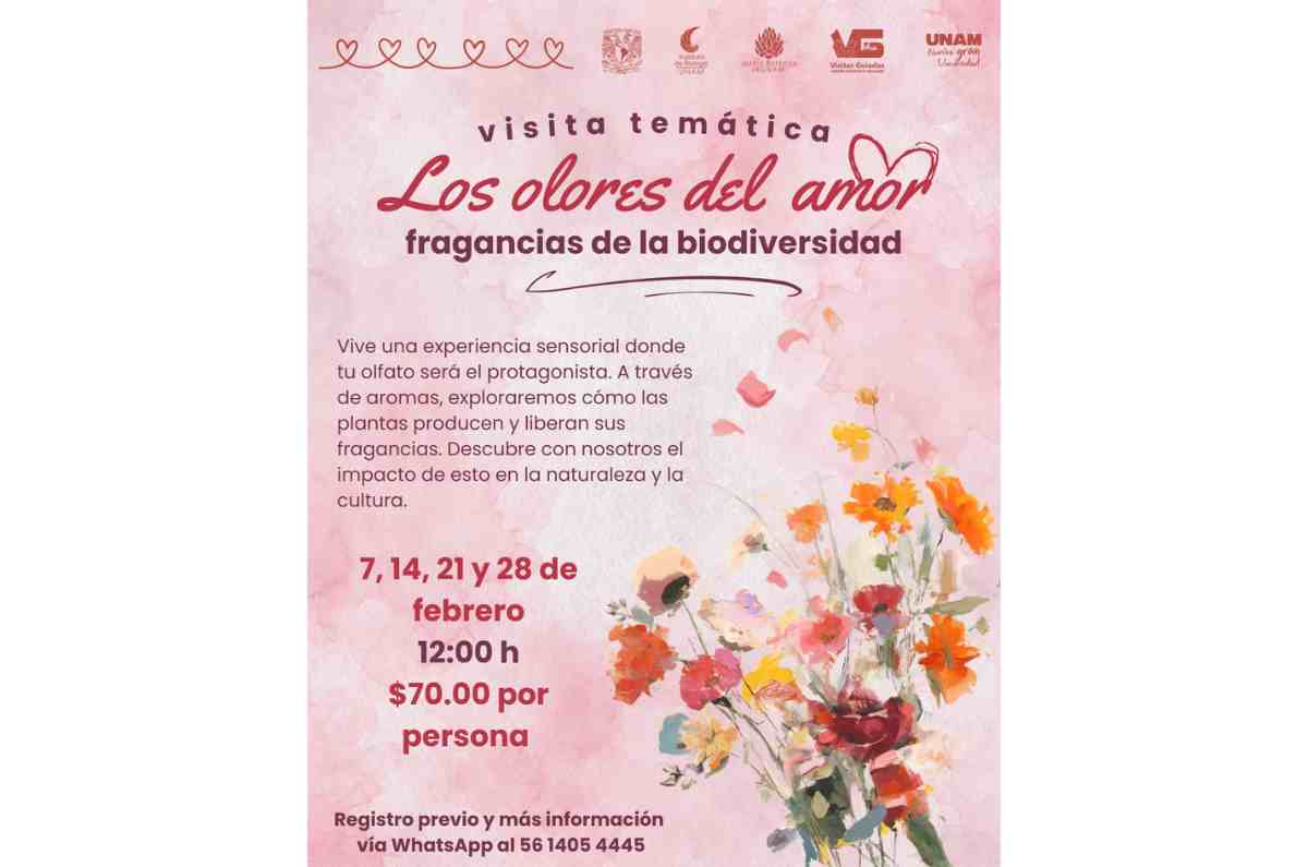 los-olores-del-amor-2