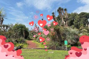 Los olores del amor: una experiencia sensorial en el Jardín Botánico del IBUNAM