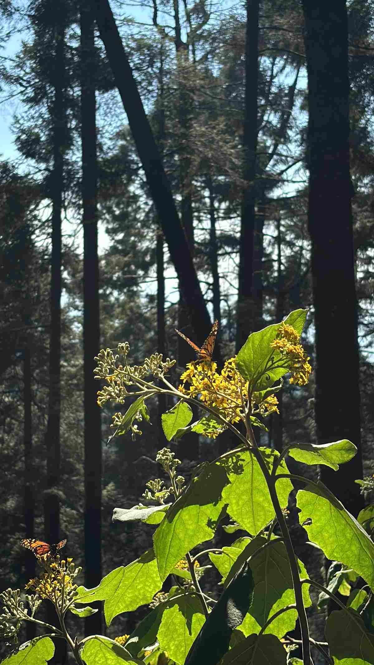 Fotos: Yonuet Campos