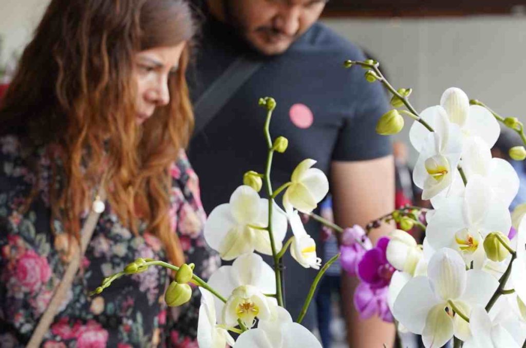 Así será el 2026 del Museo Franz Mayer: festejos por su 40 aniversario 7