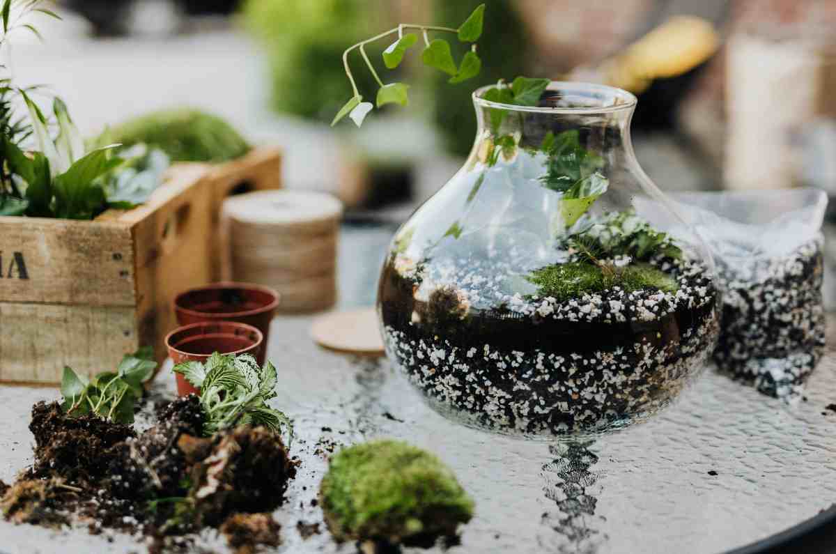 Taller de mini bosques: crea tu terrario cerrado con Plantarte